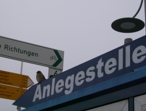 Richtungen