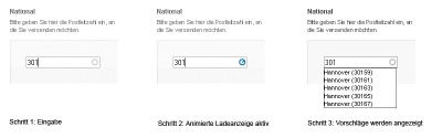 Animierte Ladeanzeige bei der Datenbankabfrage im Formularfeld
